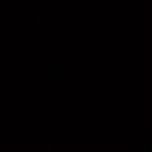 Meet your Posher, Shawn